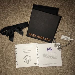 Alex and Ani Baby Block Bracelet (silver)